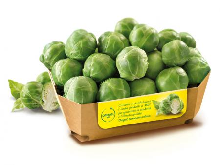 Cavolini di Bruxelles 2,5 kg
